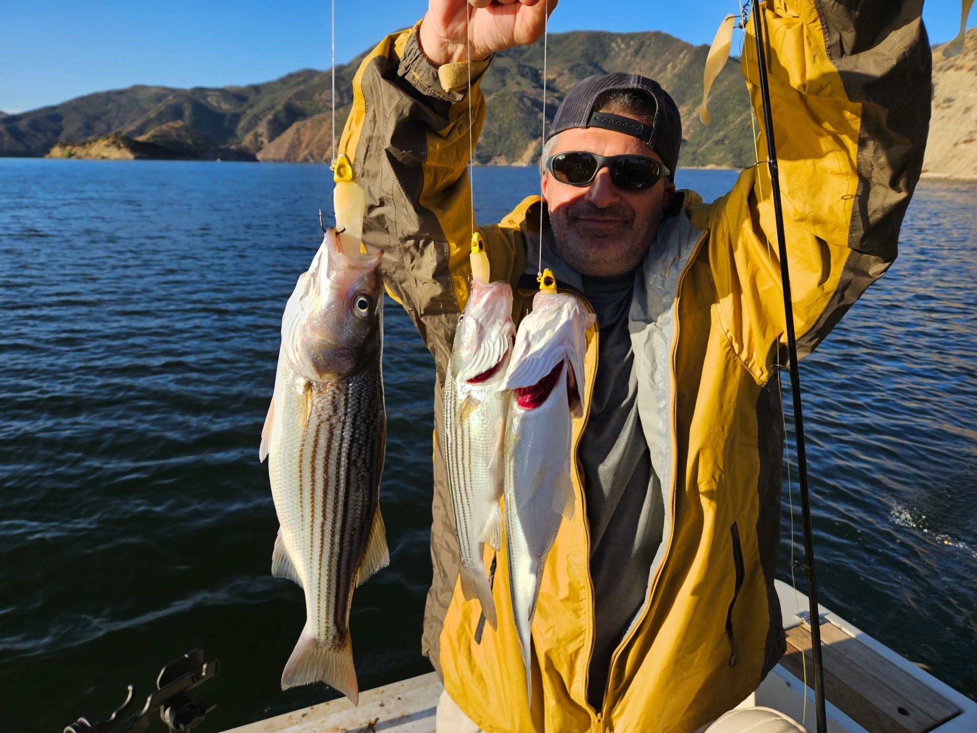 Guide Service, a man showing 3 striped bass caught on an EZ U-Rig