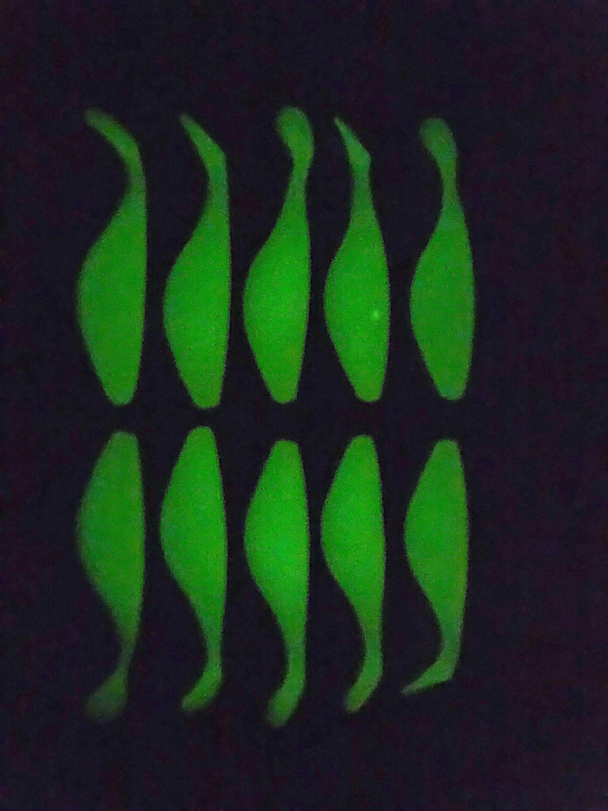 10 EZ Fishing, Glow Shad Bodies