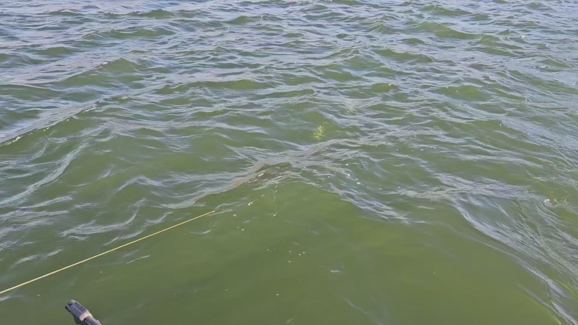 This video shows three nice striped bass being landed on an EZ U-Rig.
