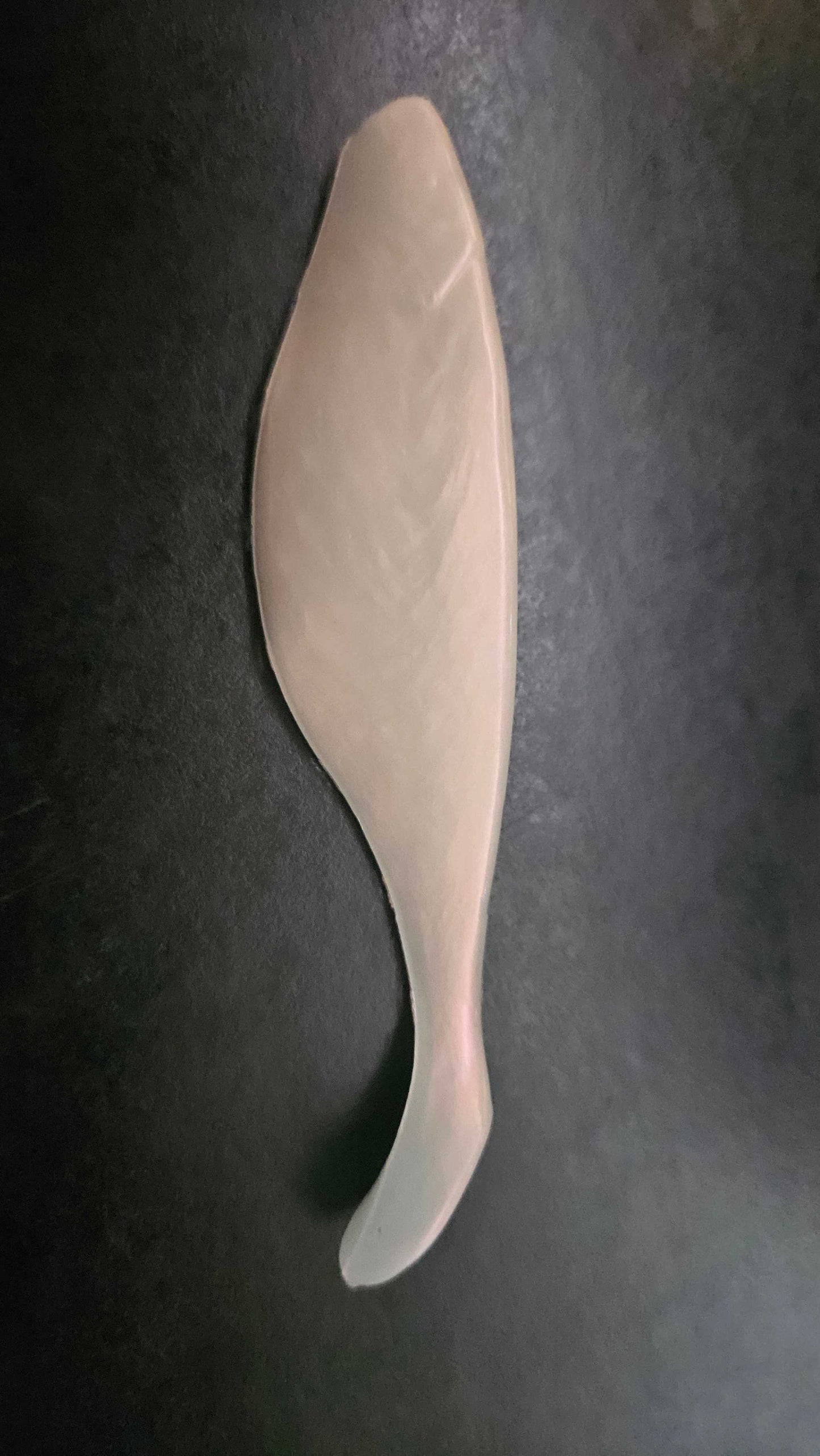 A single, EZ Fishing, EZ Shad Body 4” Pearl
